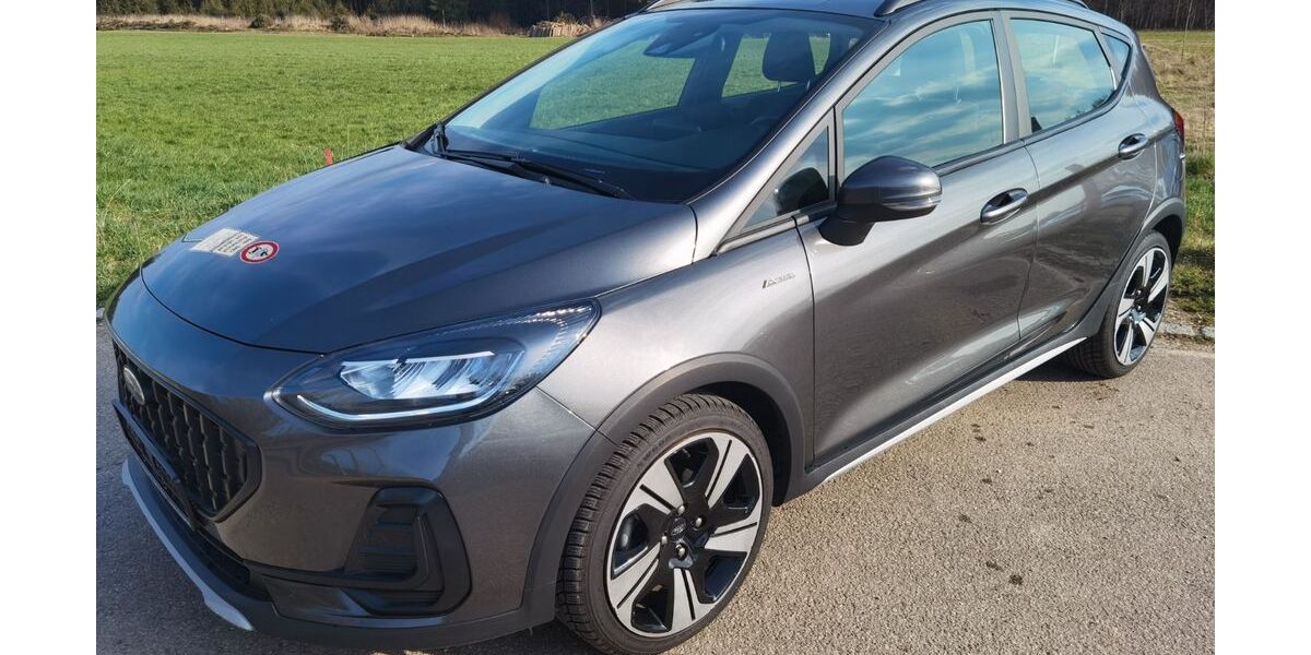 Ford Fiesta 44.862 km 15.980 &euro; Welden 86465